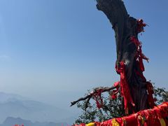 -华山风景名胜区