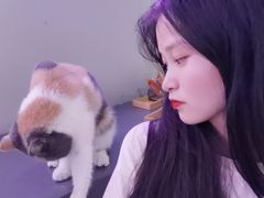 -极木²邸 人与宠物·互动社区