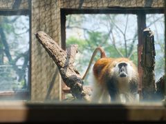 -昆明动物园