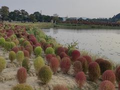 -径山花海