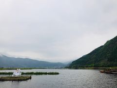 -腾冲北海湿地