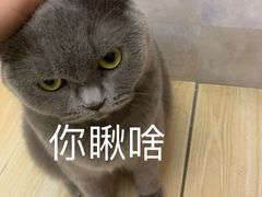 -KingBull私教健身&格斗订制(龙井商业中心店)