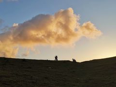 -大姆山草场