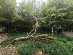 -水绘园
