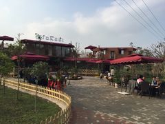 -森居forest休闲咖啡聚集地