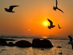 -老虎石海上公园