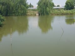 -马陆小张葡萄园农家乐