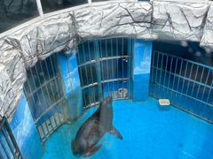 -青岛海底世界-水族馆