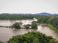 -大湾区中央湿地公园