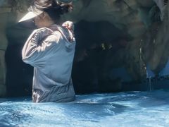 -重庆海昌加勒比海水世界