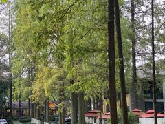-T80科技文化国际社区-停车场