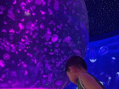 -江和美海洋公园