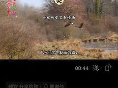 -裕和堂中医推拿艾灸(太古汇臻品店)