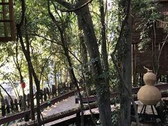 -天门沟九州驿站树上汤泉