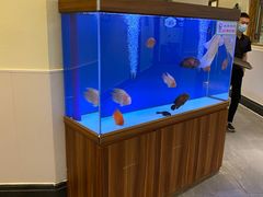 水产区-宁海食府(北岸琴森店)