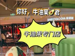 -油梨树AVOCADO TREE(嘉里中心店)