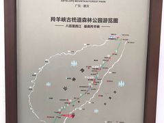 -羚羊峡古栈道森林公园