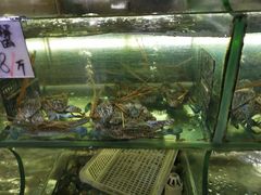 -覃记海鲜美食餐厅