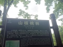 -藏龙百瀑风景区