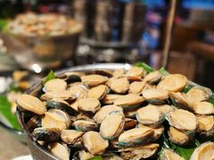 -广州希尔顿逸林酒店-OPEN開·全日制餐厅·海鲜·小火锅·自助餐(东风路店)