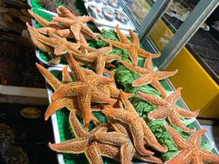 海星-歹街(金成店)