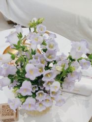 -WENDY·温迪皮肤管理