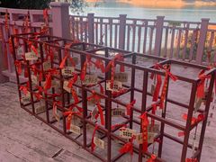 -广州市流溪河国家森林公园