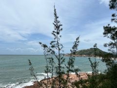 -广东惠东海龟国家级自然保护区