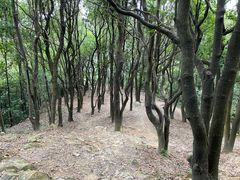 -火炉山森林公园