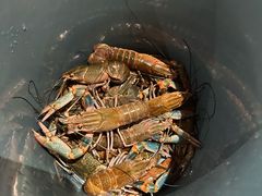 -虾胡闹龙虾馆(湄南河店)