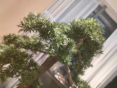 -马家斑.鲜鱼火锅(松湖万科店)