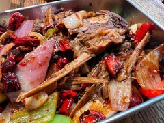 -老板恋上鱼(恒隆广场店)