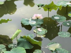 -木塔寺遗址生态公园