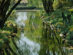 -上海共青森林公园