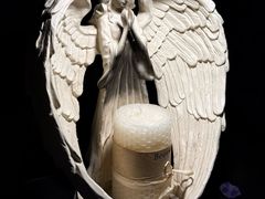 -雪灵魔法世界SHELLY’S TAROT(大良桂畔里店)