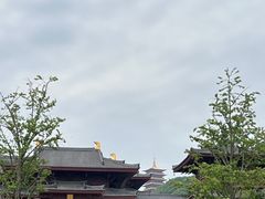 -牛首山文化旅游区