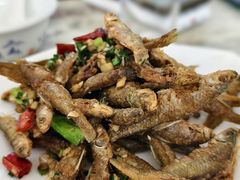 -品雅轩农家乐