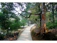 -广州市石门国家森林公园
