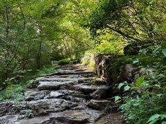 -山西通天峡景区