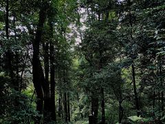 -青城山
