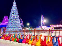 -沈阳奥体冰雪嘉年华