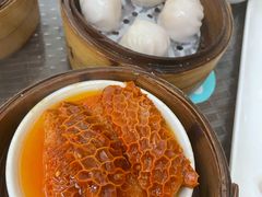 萝卜金钱肚-添运来(茶园奥园广场店)