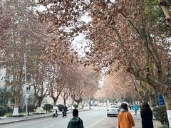 -西南交通大学(九里校区)