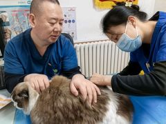 -宠福鑫动物医院(望京分院)