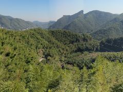 -宁波浙东大竹海景区