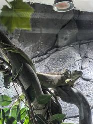 -Zoolung Zoolung动物主题公园(海信广场店)