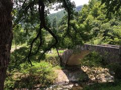 -石台牯牛降景区