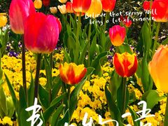 -苏州上方山国家森林公园