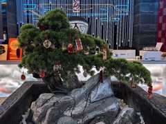 -屋有岛沉浸游戏旗舰店(中山公园店)