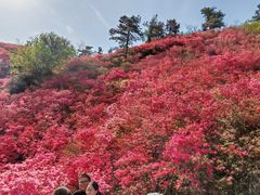 -木兰云雾山